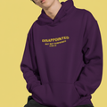 DISAPPOINTED BUT NOT SURPRISED Hoodie